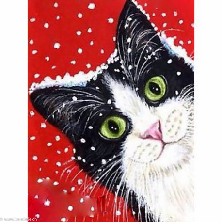 Wizardi, kit diamant Holiday Cat (WIWD2432)