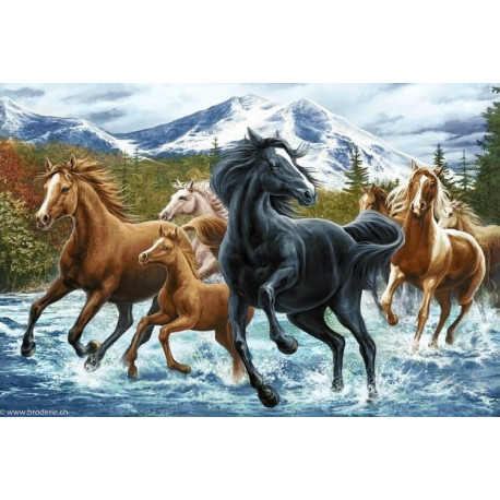 Wizardi, kit diamant Horse Herd in the Mountains (WIWD2499)