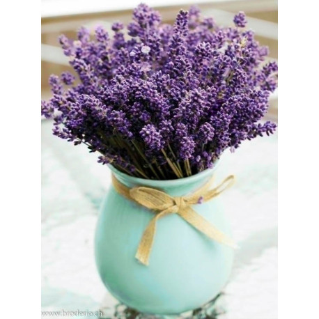 Wizardi, kit diamant Lavender Bouquet (WIWD3063)