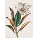 Wizardi, kit diamant Magnolia (WIWD3017)