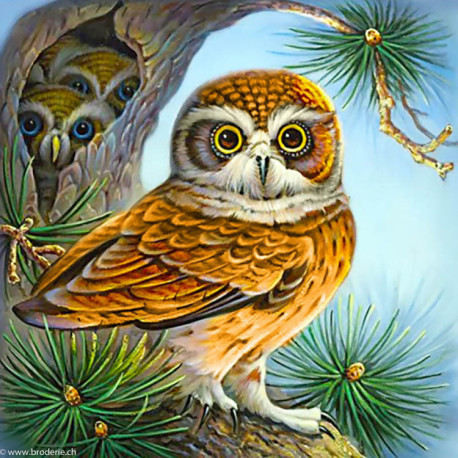 Wizardi, kit diamant Owl and Owlets (WIWD2494)