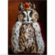 Wizardi, kit diamant Owl King (WIWD2468)