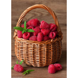 Wizardi, kit diamant Raspberry Basket (WIWD252)