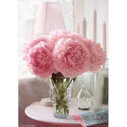 Wizardi, kit diamant Soft Peonies (WIWD002)