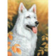 Wizardi, kit diamant White Dog (WIWD2678)