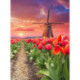 Wizardi, kit diamant Windmill in tulips (WIWD3056)