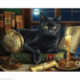 Wizardi, kit diamant wise Cat (WIWD2485)