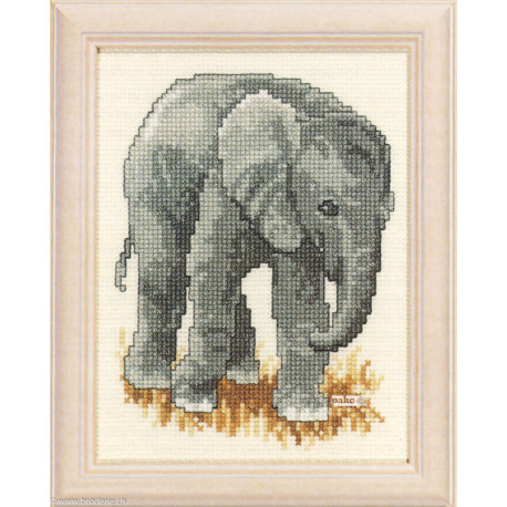 Pako, kit Eléphant (PA210.843)