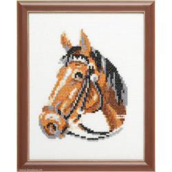 Pako, kit Tête de cheval (PA210.883)