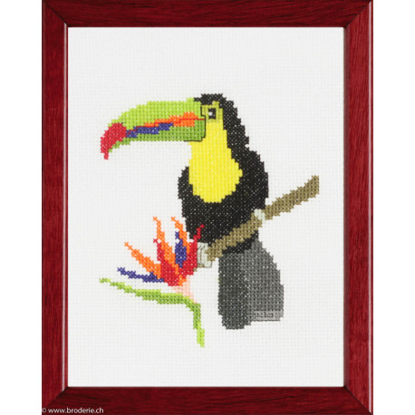 Pako, kit Toucan (PA210.801)