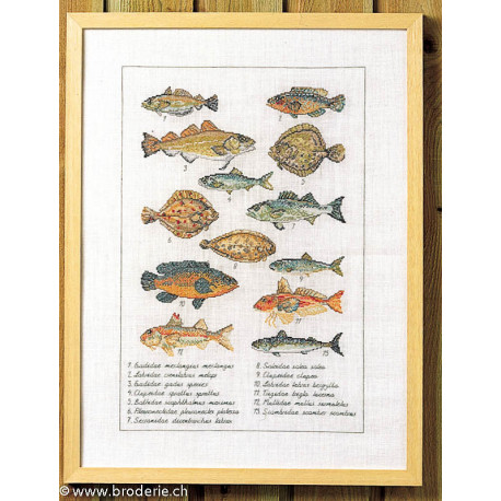 Permin, kit Collection de poissons (PE70-6408)