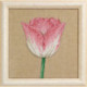 Permin, Tulipes (3 dessins de 25 x 25 cm) (PE70-3360)