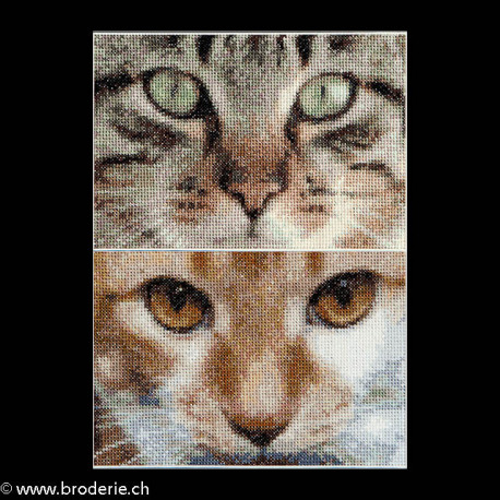 Thea Gouverneur, kit Cats Jack + Luna (G0543)