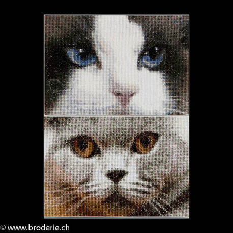 Thea Gouverneur, kit Cats Smokey + Blue (G0542)