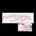 Thea Gouverneur, kit Cerisier ornemental du Japon (G0481)