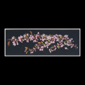 Thea Gouverneur, kit Cerisier ornemental du Japon (G0481.05)