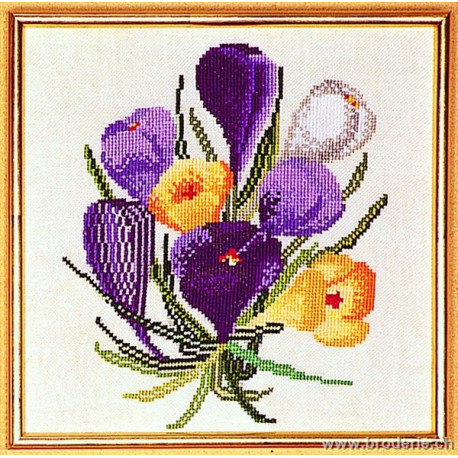 Thea Gouverneur, kit Crocus (G0813)