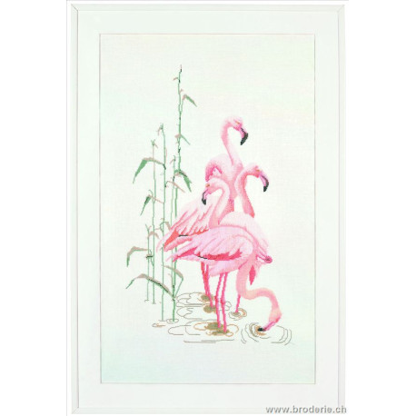 Thea Gouverneur, kit flamands roses (G1070)