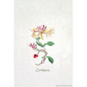 Thea Gouverneur, kit fleurs de chèvrefeuille (G1049)
