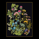 Thea Gouverneur, kit Fleurs des champs et herbes (G0424.05)