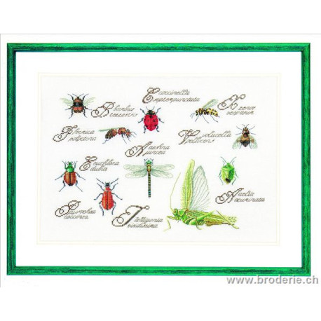 Thea Gouverneur, kit insectes (G3029)