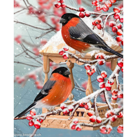 Wizardi, kit diamant Two Bullfinches (WIWD3043)