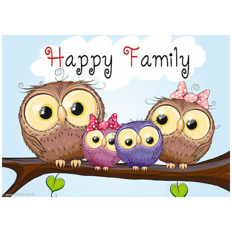 Wizardi, kit diamant Owl Family (WIWD2319)