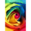 Wizardi, kit diamant Rainbow Rose (WIWD023)