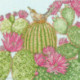Bothy Threads, kit Cactus Garden (BOXFY10)