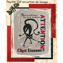 Isabelle Vautier, grille PsychoCat's - Chat lissant (RV226)