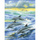 Artibalta, kit diamant Famille de dauphins - Dolphins Family (AZ-1062)