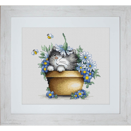 Luca-S, kitten in flowers (LUCAB1048)