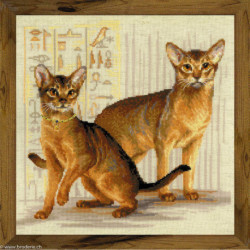 Riolis, kit Abyssinian cats (RI1671)