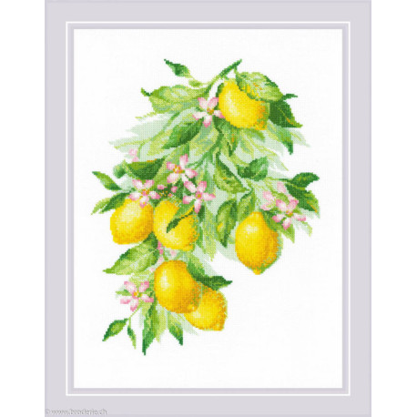 Riolis, kit Bright Lemons (RI2054)