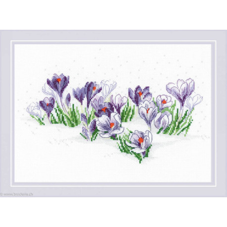 Riolis, kit Crocuses under the Snow (RI1855)