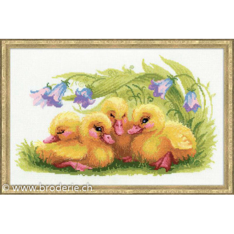 Riolis, kit Funny Ducklings (RI1322)