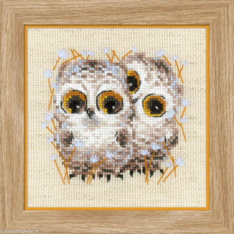 Riolis, kit Little Owls (RI1755)