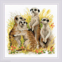 Riolis, kit Meerkats (RI1761)