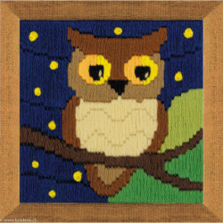 Riolis, kit Owl Among the Stars (RI1715)