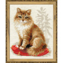 Riolis, kit Pet Cat (RI1525)