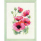 Riolis, kit Pink Poppies (RI1775)