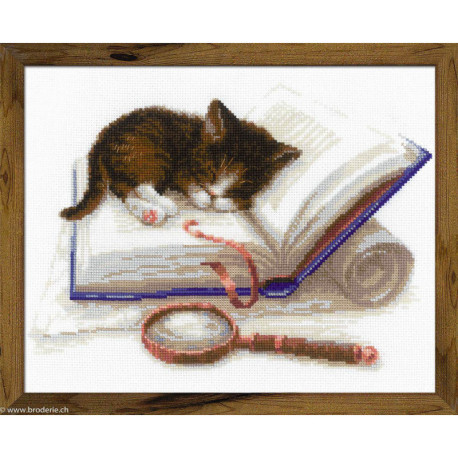 Riolis, kitten on the Book (RI1725)
