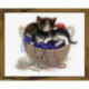 Riolis, kittens In A Basket (RI1724)