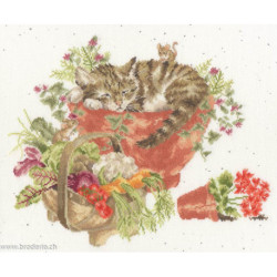 Bothy Threads, kit Purrrfect Spot (BOXHD149)