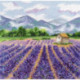 Oven, kit Provence (OV1156)