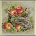 Riolis, kit diamant Basket of Strawberries (RIAM0015)