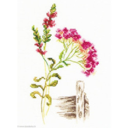 RTO, kit Bloomy herbs (RTOM777-T)