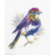 RTO, kit Blue Feather (RTOM571)