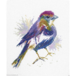 RTO, kit Blue Feather (RTOM571)