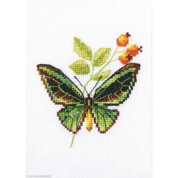 RTO, kit Briar and Butterfly (RTOEH363)